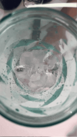 Ice Crushing Portable Blender (24oz)